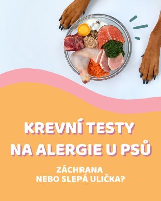 🧪 Krevní testy na potravinové alergie u psů zní jako skvělé řešení – pár kapek krve a hned víte, co pes smí a co nesmí…...