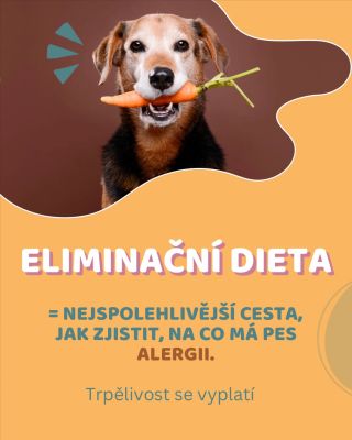 Pes se drbe, škrundá mu v bříšku, má průjem nebo začervenalou pokožku? 🐶🍗 👉 Nejlepší způsob, jak zjistit, jestli jde o...