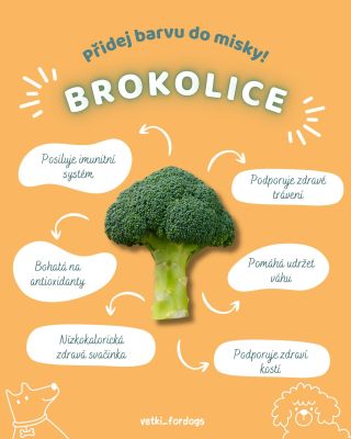 🥦 Brokolice je malý zelený superhrdina, který může pejskům úplně v pohodě zpestřit misku. Je lehká, výživná a když se...