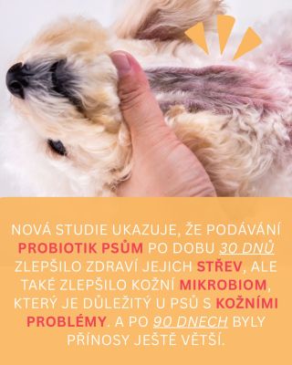 ✨ Vědecky potvrzeno! Nová studie (2025) ukazuje, že kvalitní probiotikum u psů má mnohem větší vliv, než se dříve myslelo....