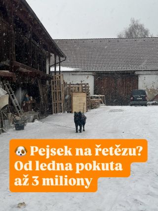 Na tenhle příspěvek jsem narazila na sociálních sítích České justice a upozorňuje na změnu zákona o ochraně zvířat 👉🏻 🔎 Co...